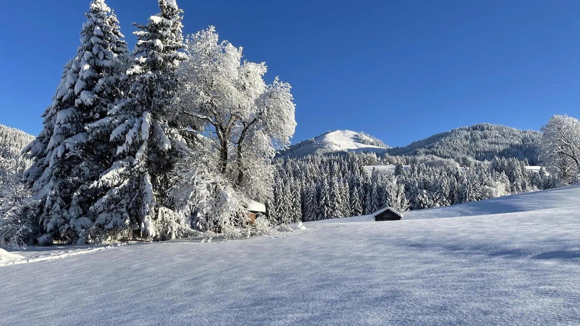 Ferienwohnung Am Hof Jungholz 0*,  Österreich