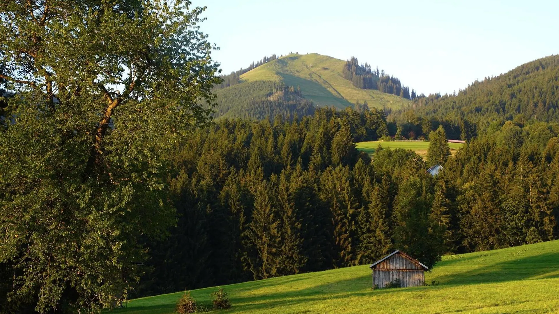 Ferienwohnung Am Hof Jungholz