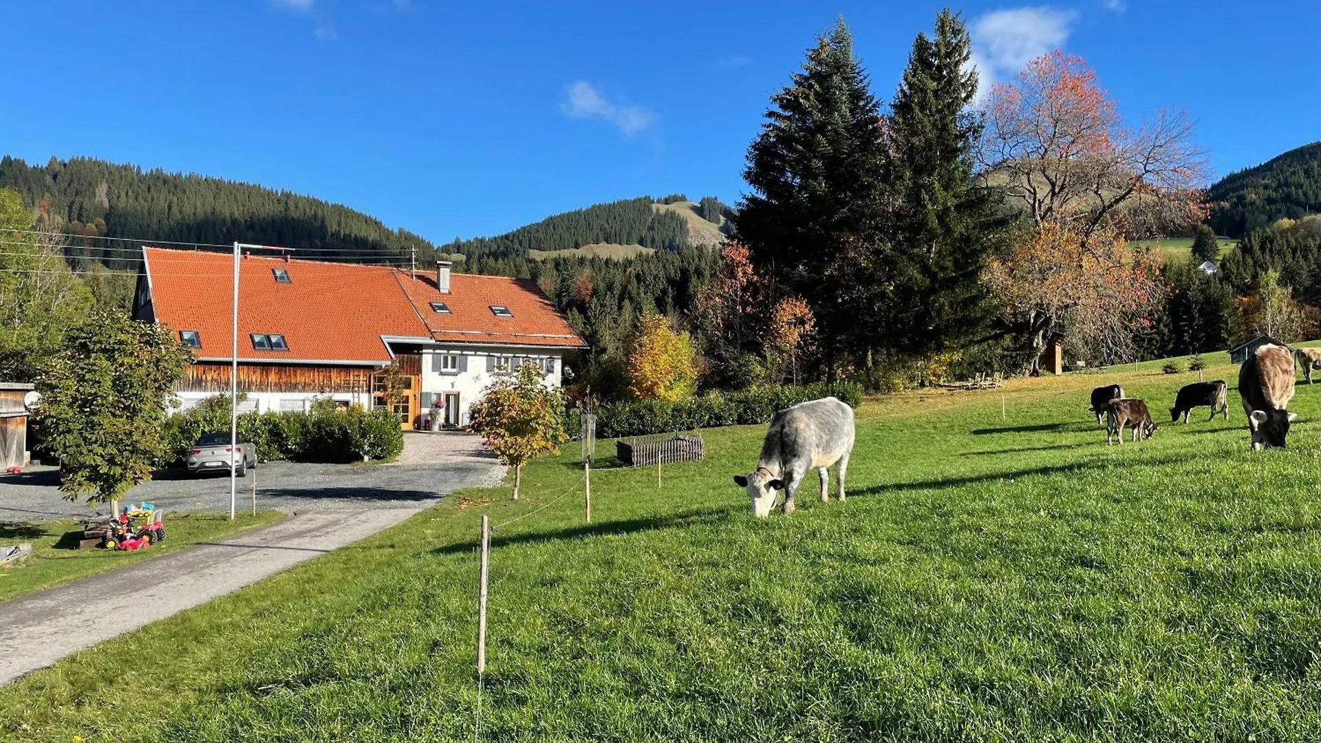 Apartamento Am Hof Jungholz